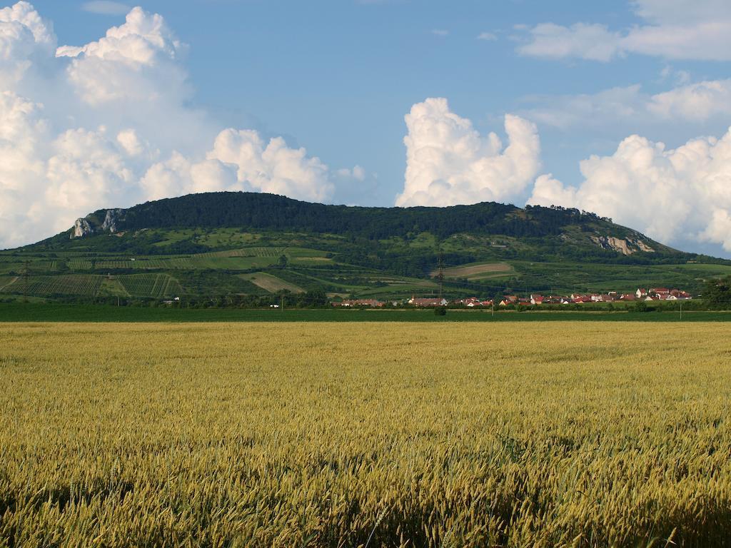 Penzion Kratochvil Dolní Dunajovice Exterior foto